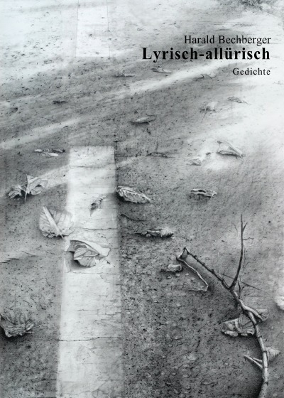 'Cover von Lyrisch-allürisch'-Cover