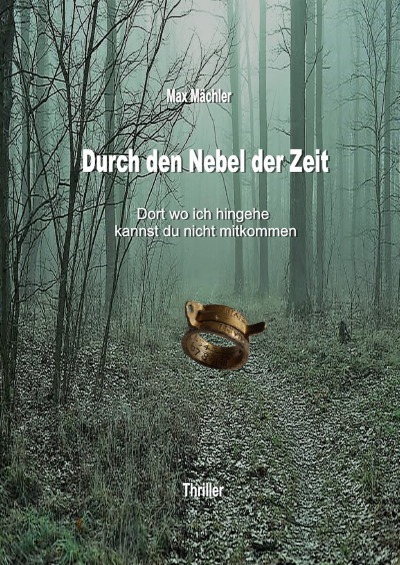 'Durch den Nebel der Zeit'-Cover