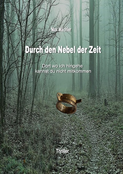 'Cover von Durch den Nebel der Zeit'-Cover