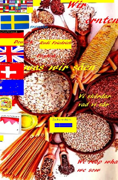 'Wir ernten was wir säen German Swedish We reap what we sow tysk English'-Cover
