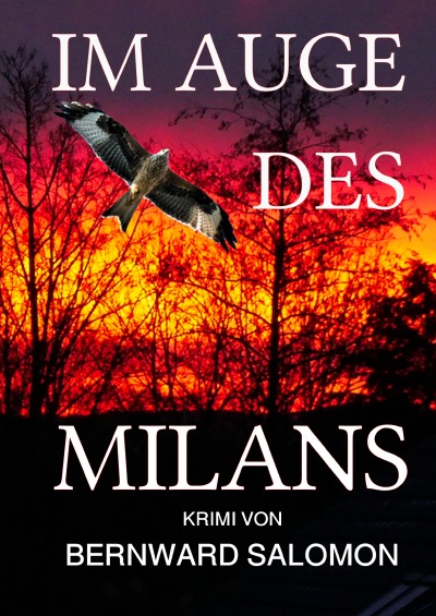 'Im Auge des Milans'-Cover