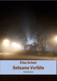 Seltsame Vorfälle - Kriminalroman - Elisa Scheer