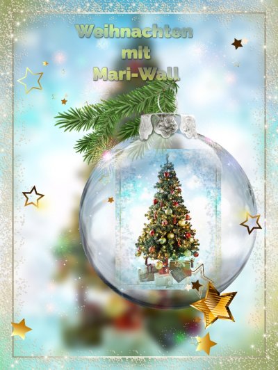 'Weihnachten mit Mari-wall'-Cover