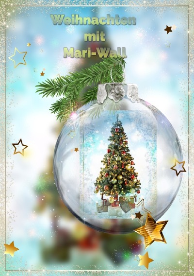 'Cover von Weihnachten mit Mari-wall'-Cover