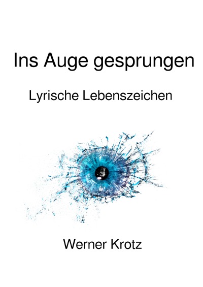 'Cover von Ins Auge gesprungen'-Cover