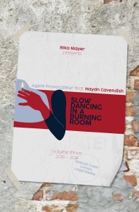 Slow Dancing In A Burning Room - Volume 3 2013-2014 - Rika Mayer