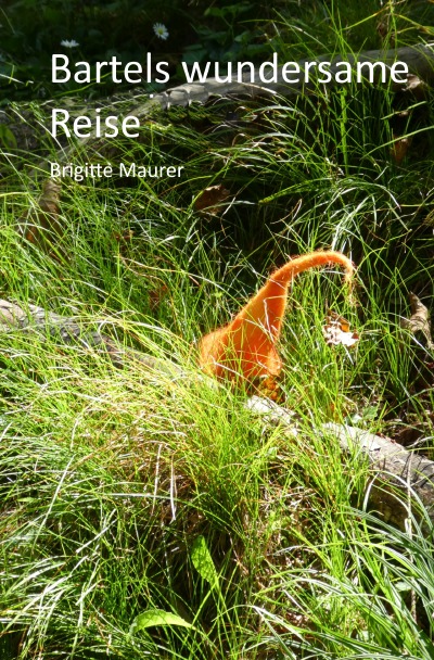 'Cover von Bartels wundersame Reise'-Cover