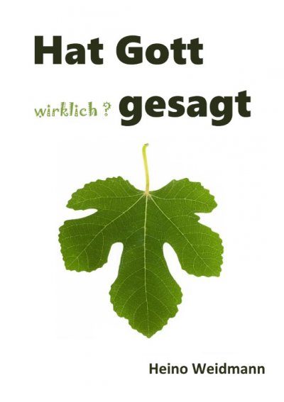 'Cover von Hat Gott wirklich? gesagt'-Cover