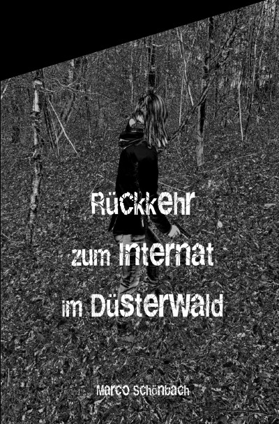 'Cover von Rückkehr zum Internat im Düsterwald'-Cover