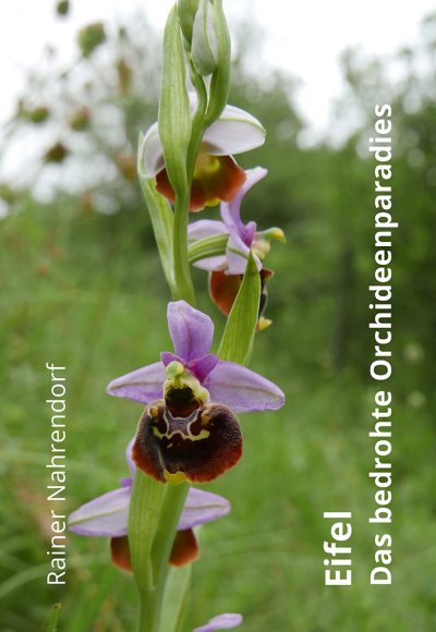 'Eifel – Das bedrohte Orchideenparadies'-Cover