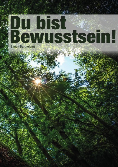'Cover von Du bist Bewusstsein!'-Cover