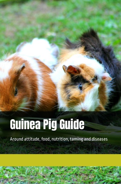 'Cover von Guinea Pig Guide'-Cover