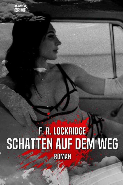 'Cover von SCHATTEN AUF DEM WEG'-Cover