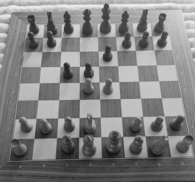 'Prinzipien des Schachspiels'-Cover