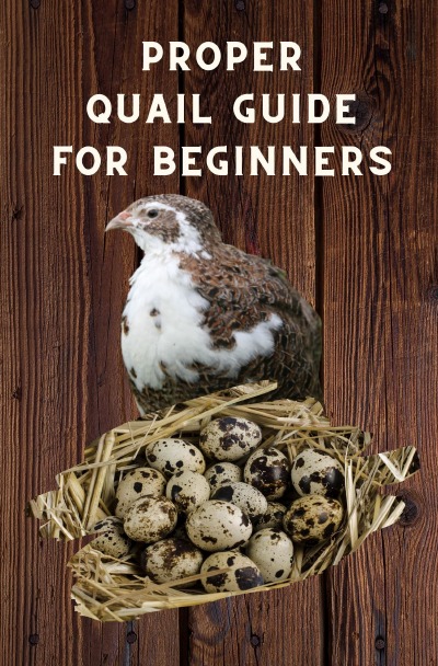 'Cover von Proper Quail Guide for Beginners'-Cover