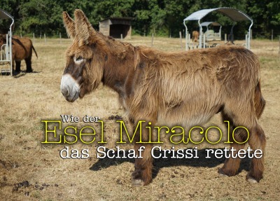 'Wie der Esel Miracolo das Schaf Crissi rettete'-Cover