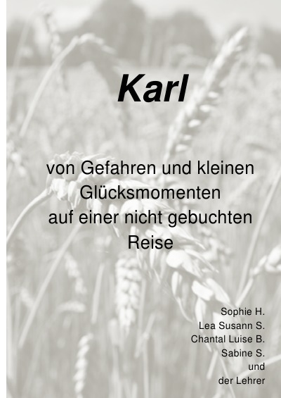 'Karl – von Gefahren und kleinen Glücksmomenten auf einer nicht gebuchten Reise'-Cover