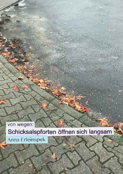 'von wegen: Schicksalspforten öffnen sich langsam'-Cover