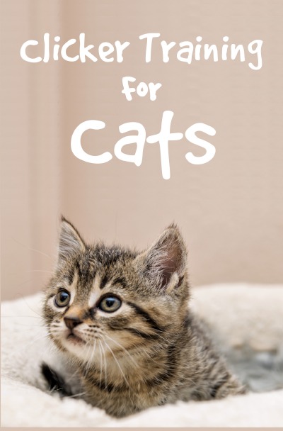 'Cover von Clicker Training For Cats'-Cover