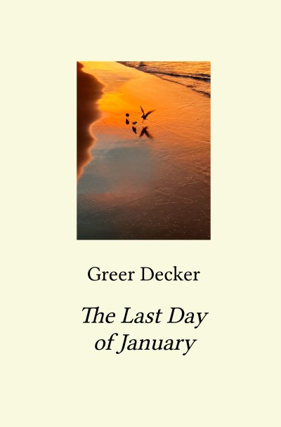 'Cover von The Last Day of January'-Cover