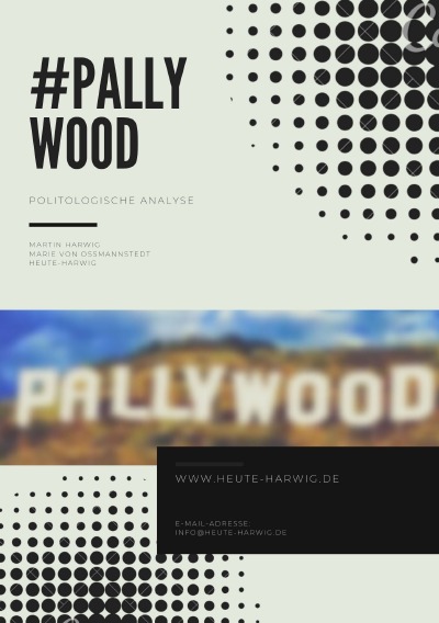 'Made in Pallywood'-Cover