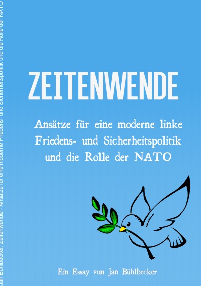 'Cover von Zeitenwände'-Cover