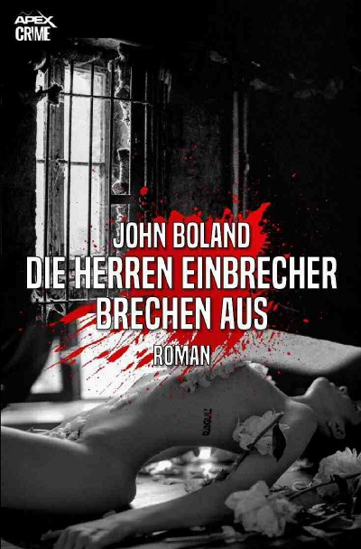 'DIE HERREN EINBRECHER BRECHEN AUS'-Cover