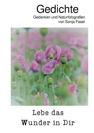 'Cover von Lebe das Wunder in Dir'-Cover