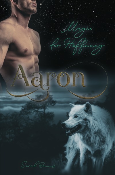 'Cover von Aaron – Magie der Hoffnung'-Cover