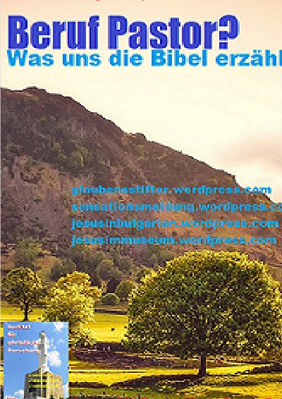 'Cover von Beruf Pastor?'-Cover