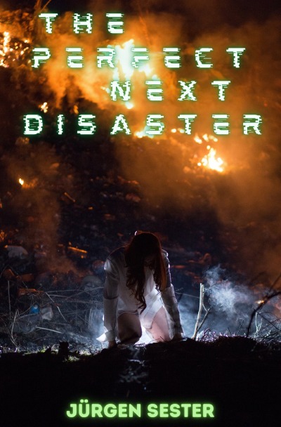 'Cover von The perfect next Disaster'-Cover