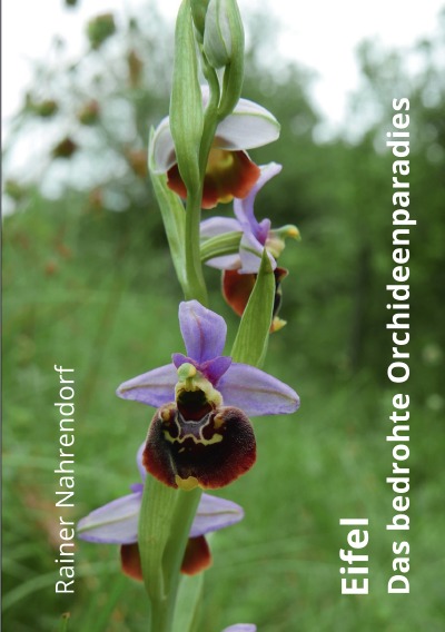 'Cover von Eifel-Das bedrohte Orchideenparadies'-Cover