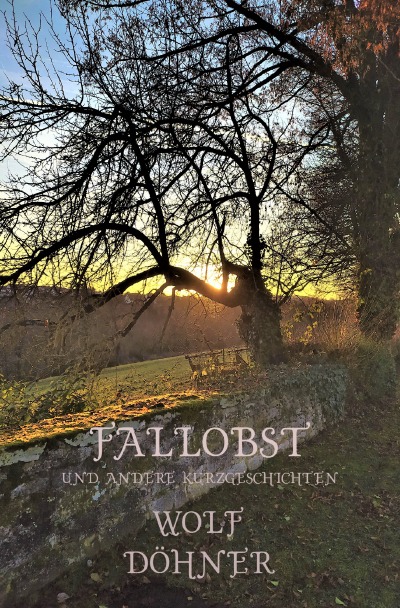'Cover von Fallobst'-Cover