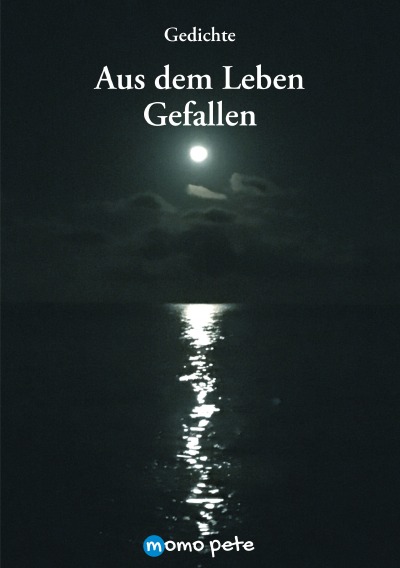 'Cover von Aus dem Leben Gefallen'-Cover