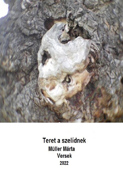 'Teret a szelídnek'-Cover