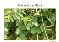 Felix und das Glück - Adelheid Fink