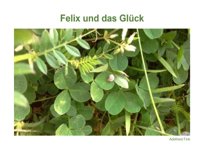 'Felix und das Glück'-Cover