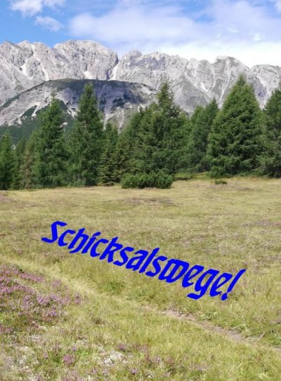 'Schicksalswege!'-Cover