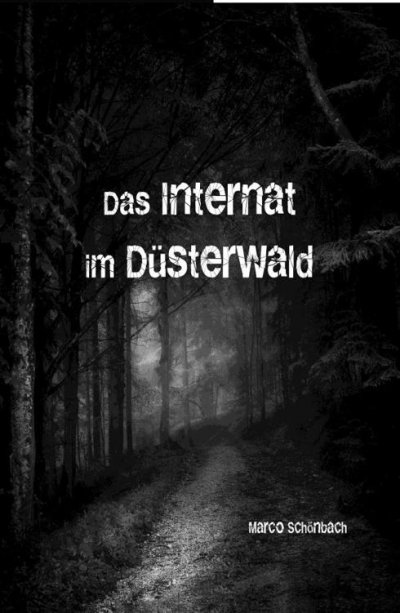 'Das Internat im Düsterwald'-Cover