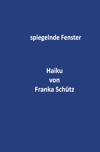 'spiegelnde Fenster'-Cover