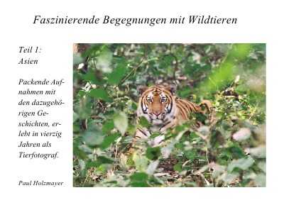 'Cover von Faszinierende Begegnungen mit Wildtieren'-Cover