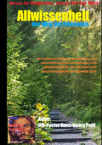 'Cover von Allwissenheit'-Cover