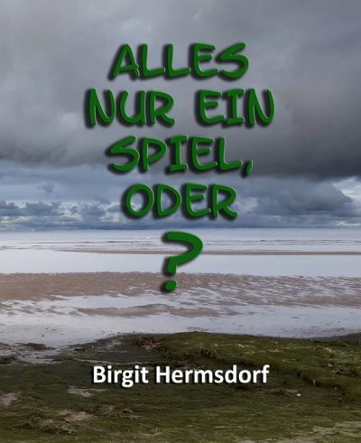 'Alles nur ein Spiel, oder?'-Cover