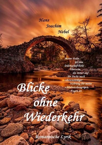 'Cover von Blicke ohne Wiederkehr'-Cover