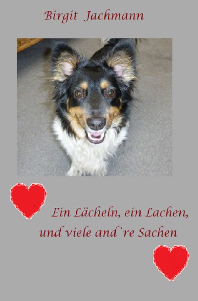 'Cover von Ein Lächeln, ein Lachen und viele andre Sachen'-Cover