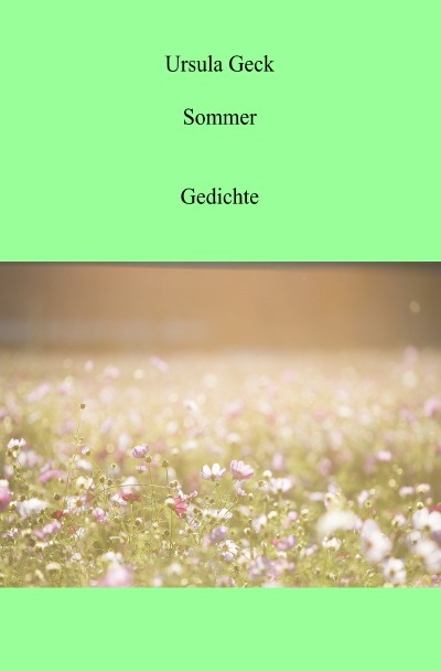 'Sommer'-Cover