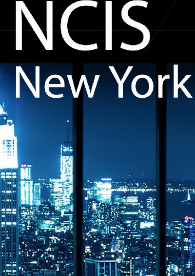 'NCIS New York'-Cover