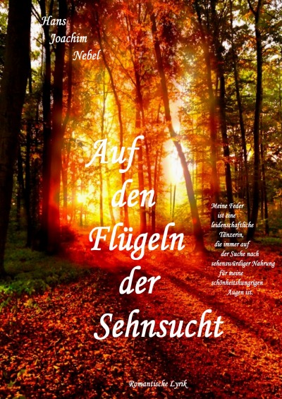 'Cover von Auf den Flügeln der Sehnsucht'-Cover