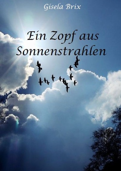 'Ein Zopf aus Sonnenstrahlen'-Cover