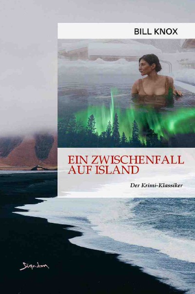 'EIN ZWISCHENFALL AUF ISLAND'-Cover